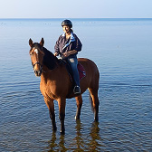 Geländeritt an der Ostsee